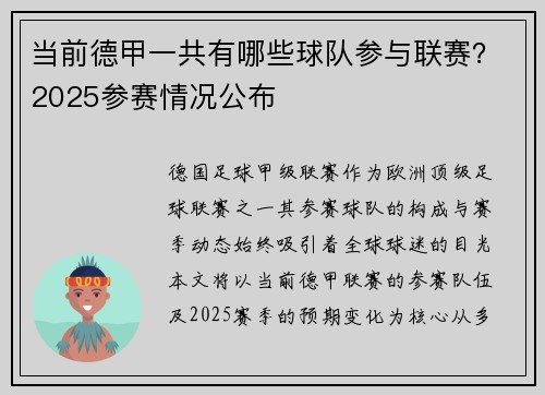 当前德甲一共有哪些球队参与联赛？2025参赛情况公布