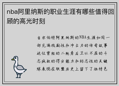 nba阿里纳斯的职业生涯有哪些值得回顾的高光时刻